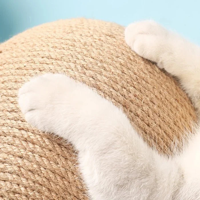 Cat Scratching Ball 🐱