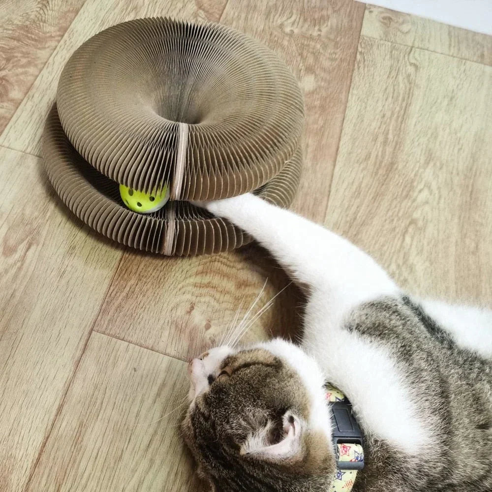 MAGIC ORGAN CAT SCRATCH BOARD CAT TOY WITH BELL CAT GRINDING CLAW.